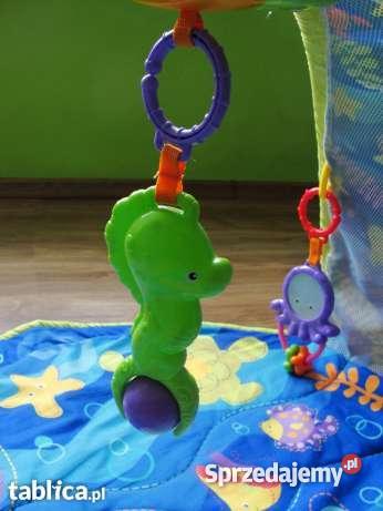 Fisher mata edukacyjna Koszalin