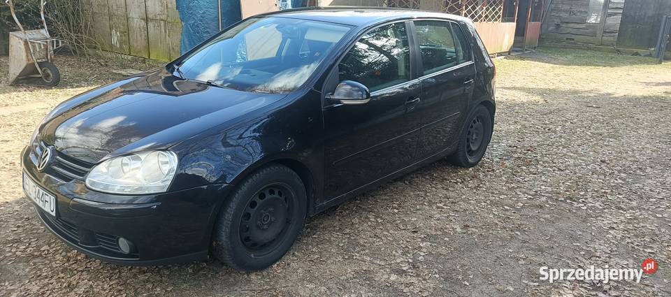 Volkswagen Golf 5 2008 19 TDI manualna sprzedam