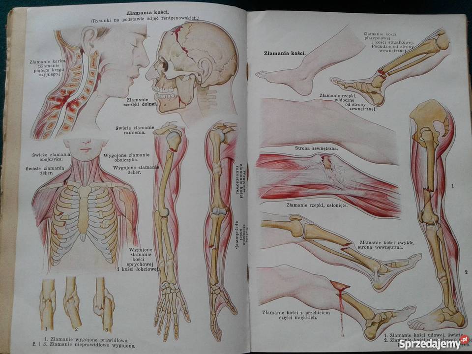 NOWE LECZNICTWO PRZYRODNICZE wielkopolskie Leszno
