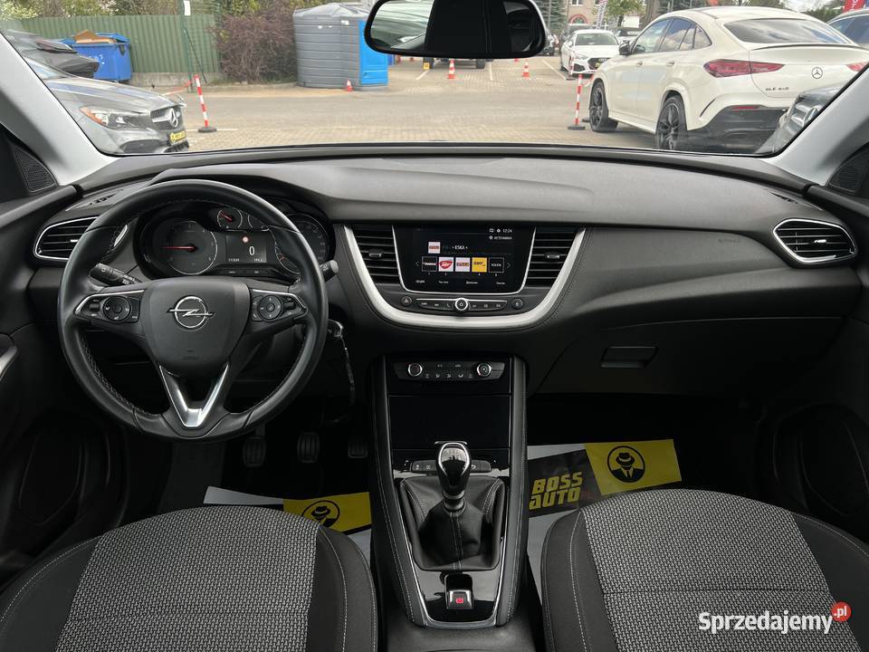 Opel Grandland X 2019 Samochody osobowe