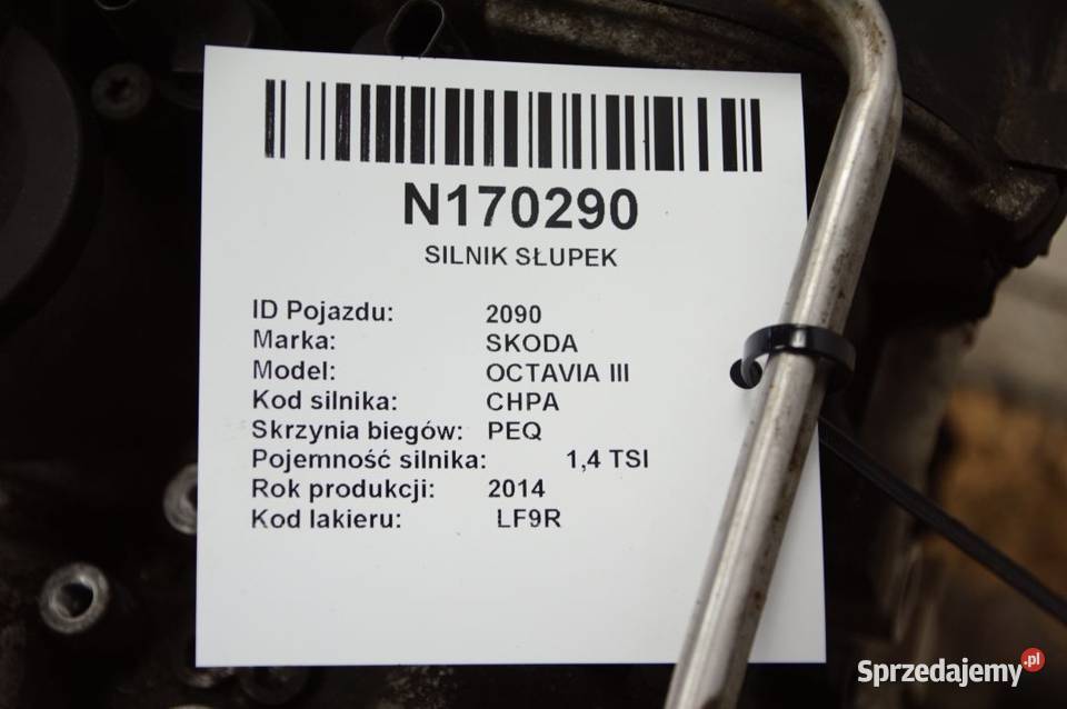 SILNIK SŁUPEK SKODA OCTAVIA III CHP 14 TSI Pozostałe Lipno