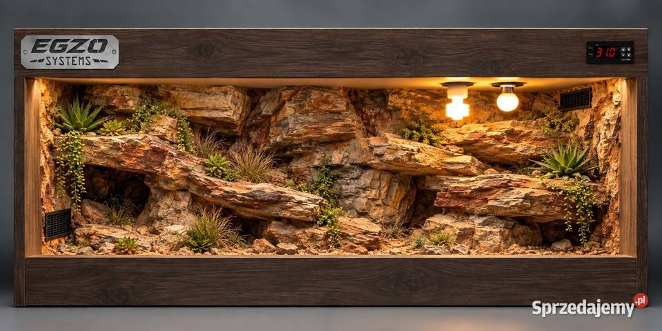 Terrarium pustynne gekona lamparciego żółwia śląskie Wodzisław Śląski sprzedam