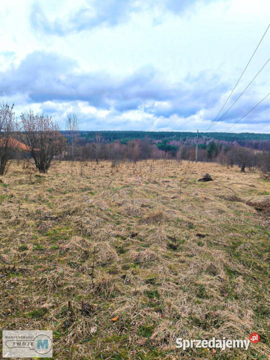 sprzedaży działki Mniów 5000 metrów świętokrzyskie sprzedam