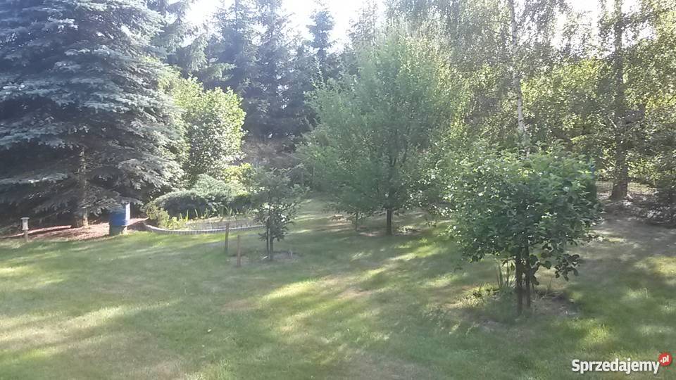 Działak rekreacyjna z domkiem rzeką ładnie rekreacyjna Adamowo