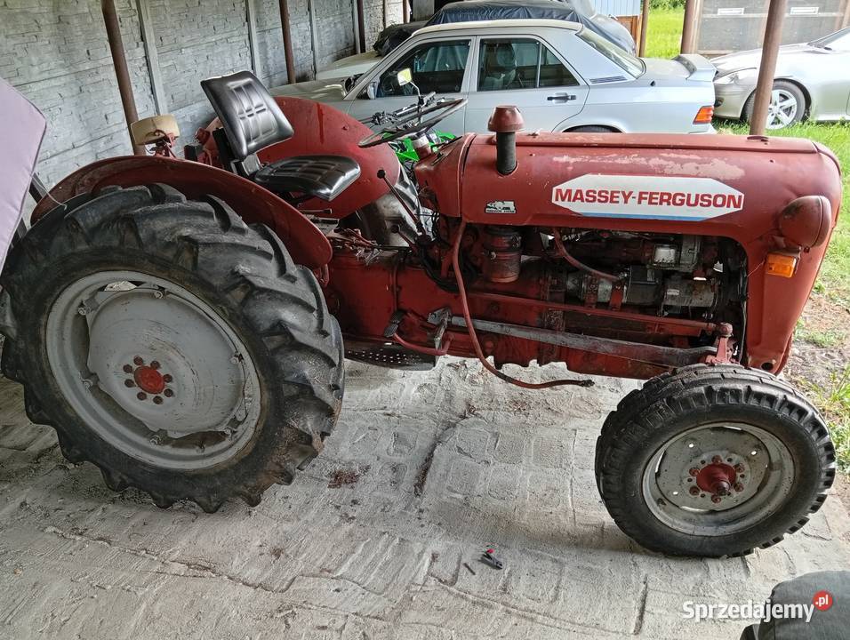 Massey Ferguson 35 IMT stary ciągnik rolniczy Gorzów Wielkopolski