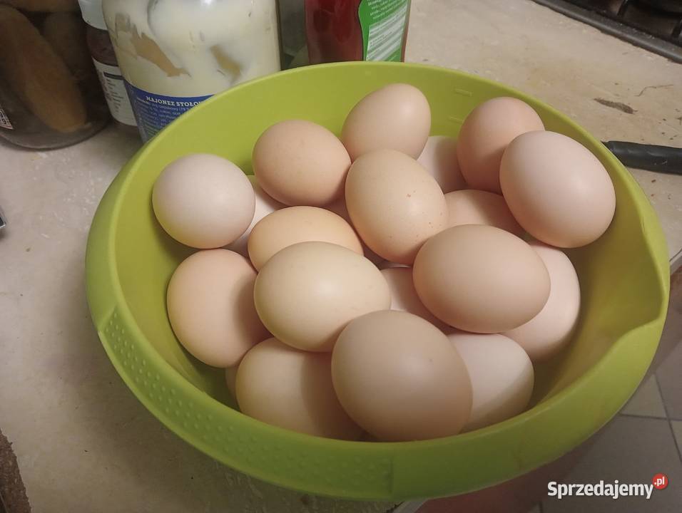 Jaka Jajka wiejskie z wolnego wybiegu Jasienica Rosielna