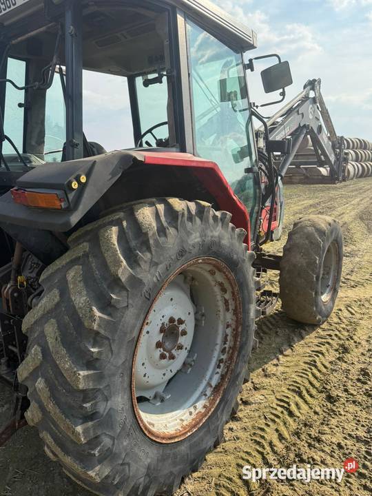 Massey Ferguson 6130 85 TUR Massey Ferguson Działyń