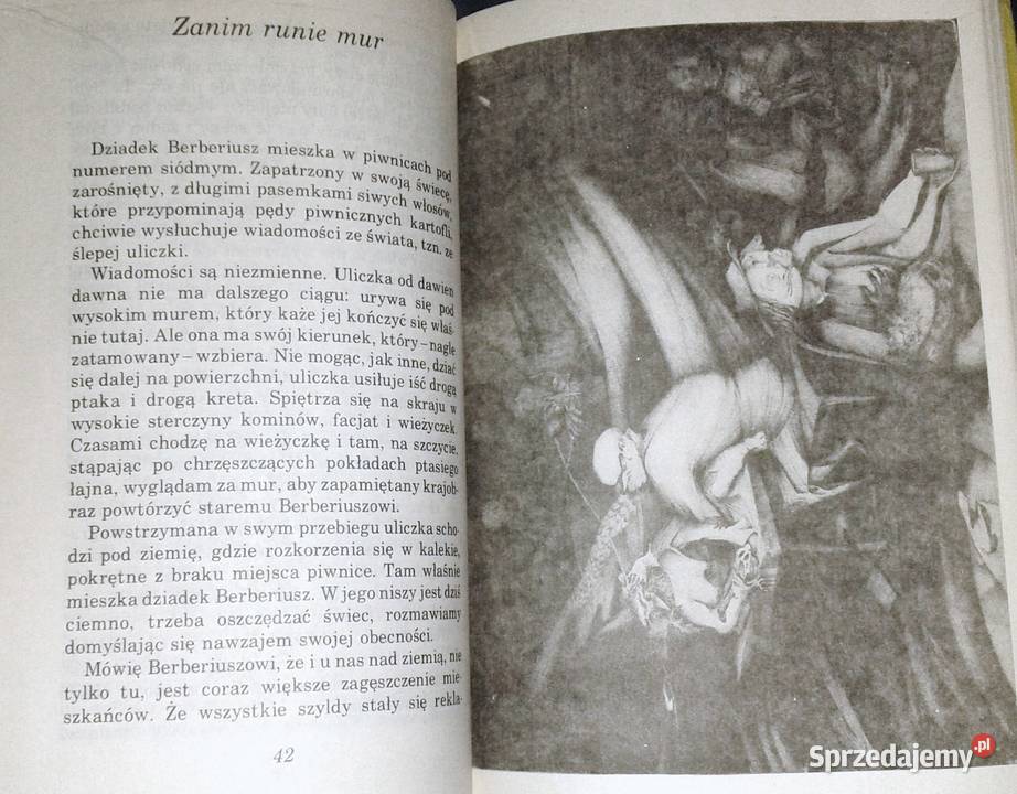 Czekanie na sen psa Jerzy Ficowski Chełm