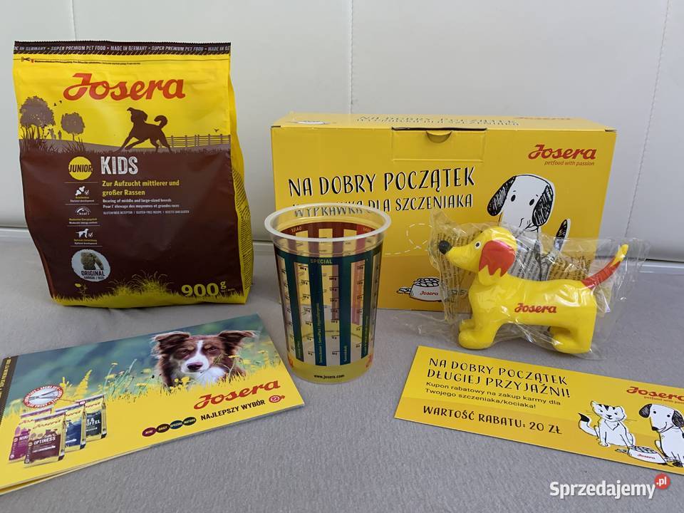 Berneński Pies Pasterski woj mazowieckie mazowieckie Ciechanów