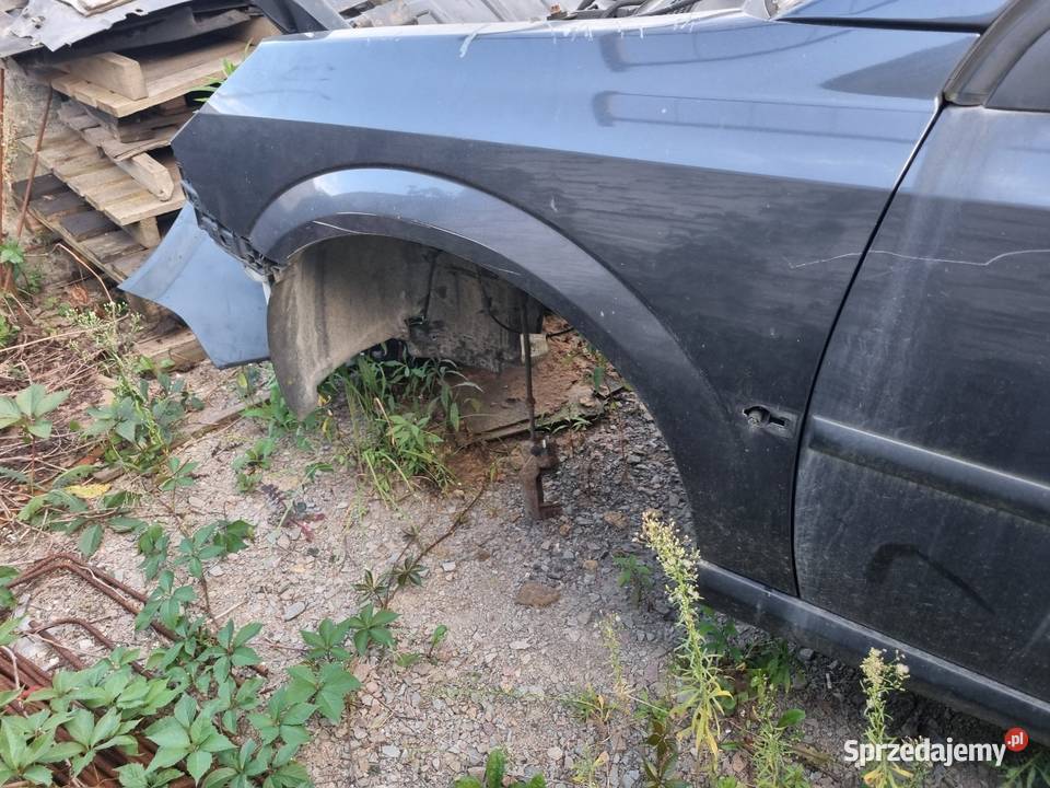 Opel Vectra C 19 CDTi 150 2005r Z168 Drzwi