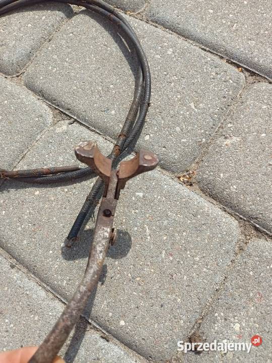 Triumph BSA Royal Bydgoszcz