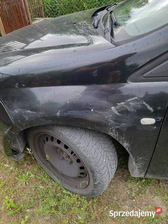Fiat bravo II 19JTD MULTIJET 120 Skrzeszew