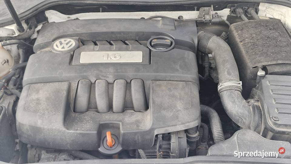 Volkswagen Golf V 16 VW B 102 5 DRZWI immobilizer Częstochowa