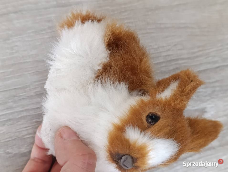 króliczek królik figurka Poznań