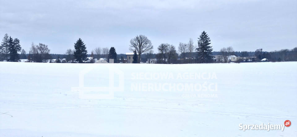 Działkę sprzedam Wielki Klincz 8800m2 Sprzedaż