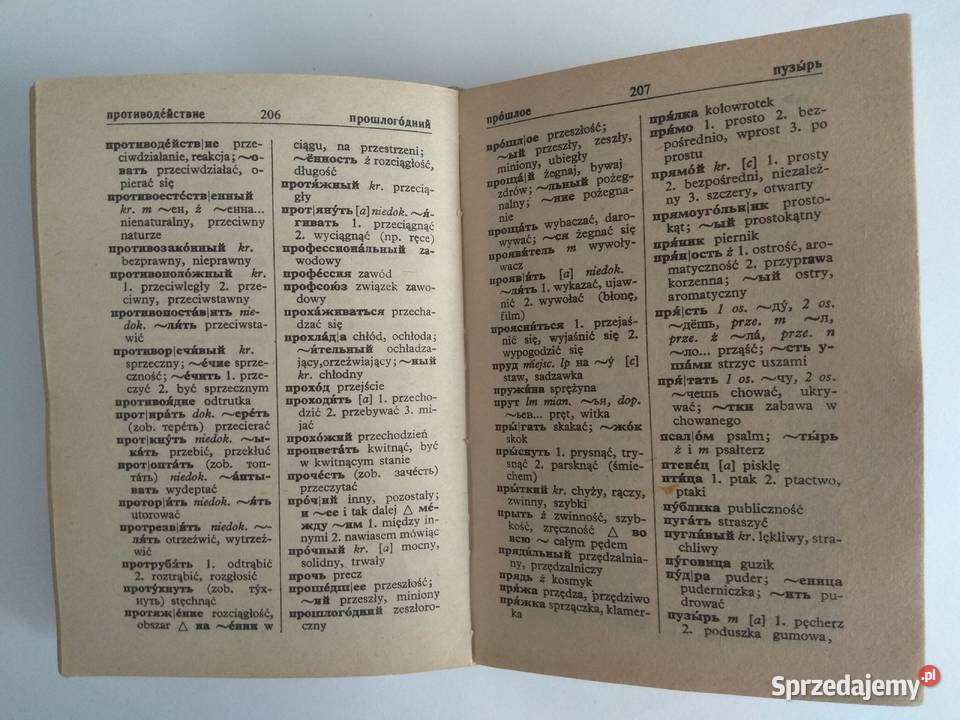 Słownik Rosyjsko Polski i Polsko Rosyjski Warszawa