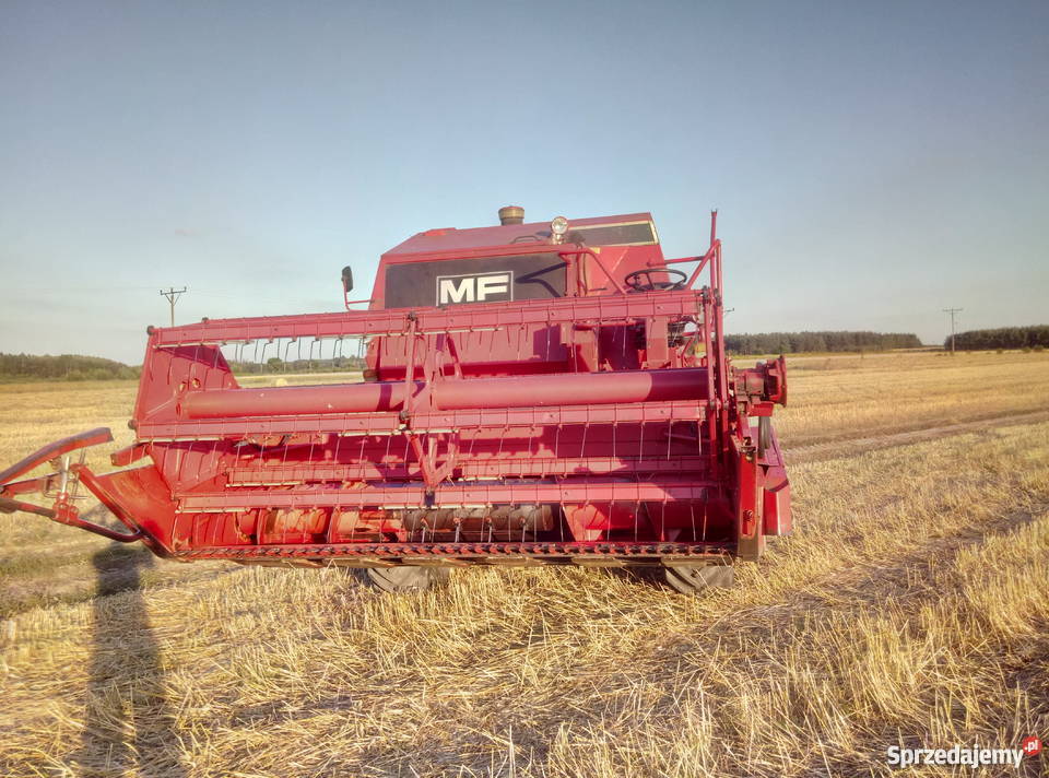 Kombajn Massey Ferguson 440 super stan Secemin