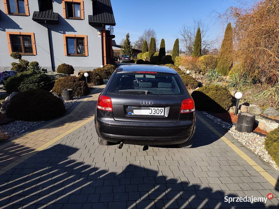 Audi a3 8p 16 mpi Radzyń Podlaski