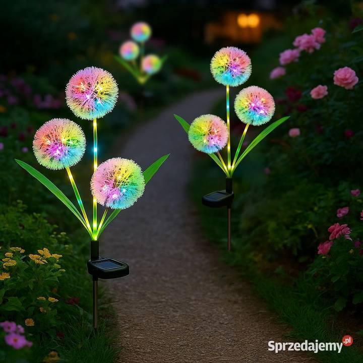 HIT Lampka Solarna Garlic Color RGB IP44 Starokrzepice