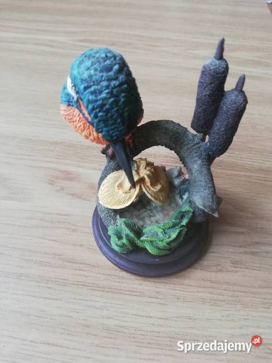 Ptaki Polskie Warszawa