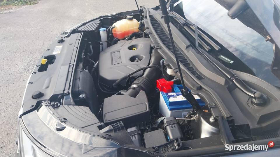 Ford EDGE SEL 20 benzyna EDGE Mirków