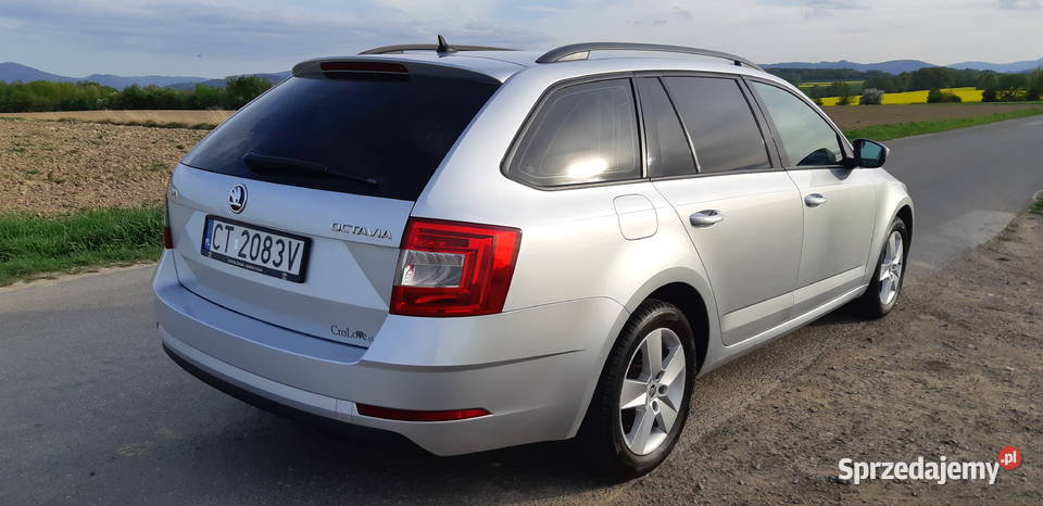 Skoda Octavia 16 TDI Ambition DSG Octavia Nowy Świętów