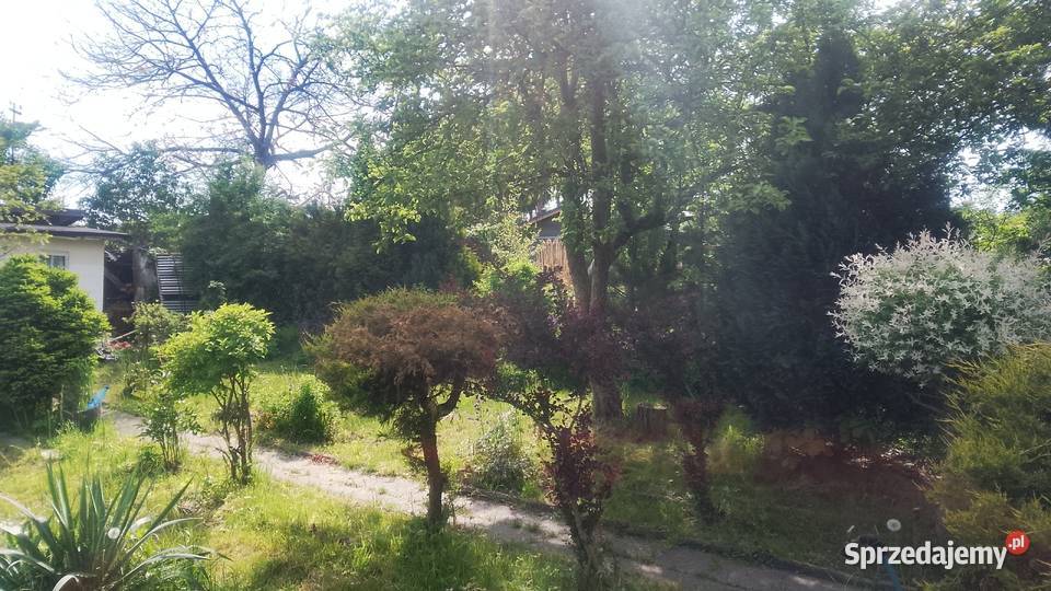 Ogródek działkowy 3 ary Katowice obok basenu 27.8m Sprzedaż