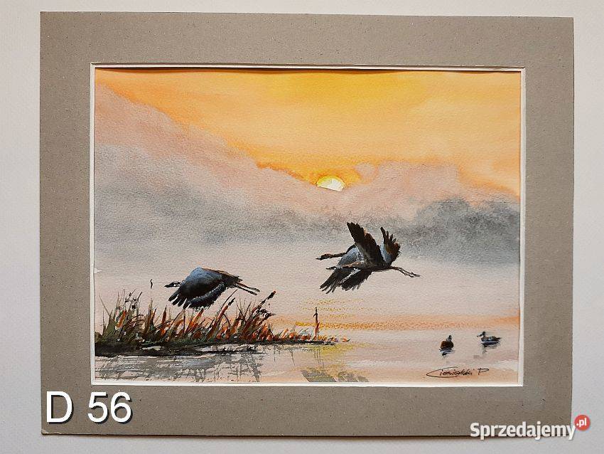 Akwarela Obraz Pejzaż Nowa Sól