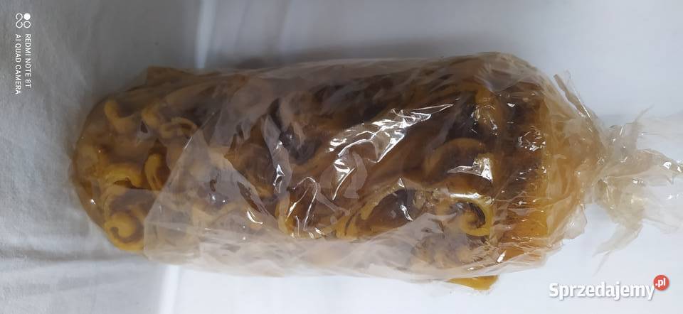 Duża niemiecka świeca modelowanaWysokość 22 x