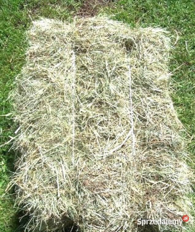 Siano w kostkach Żywiec