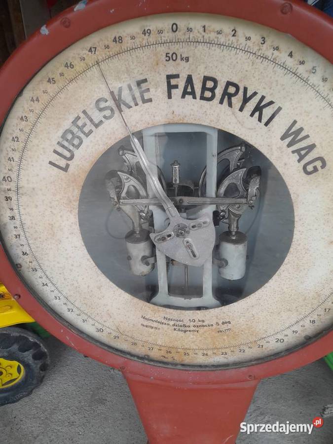 Waga Antyki, Sztuka, Kolekcje mazowieckie