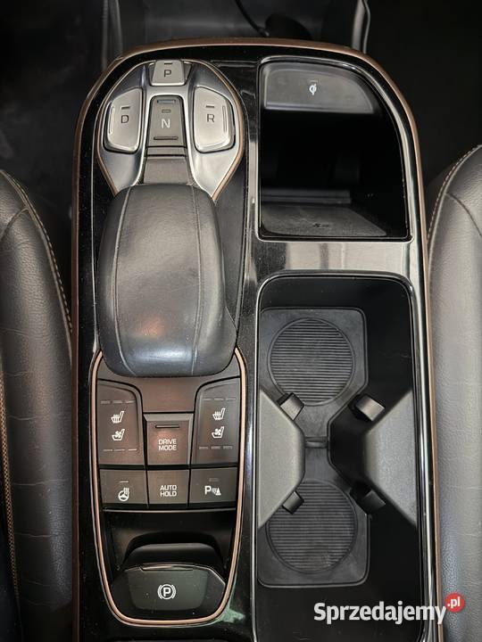 Hyundai Ioniq 28 kWh Platinum wideorejestrator małopolskie Skawina