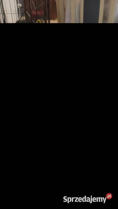 Jedna dziewczynka i dwóch chłopaków sprzedam