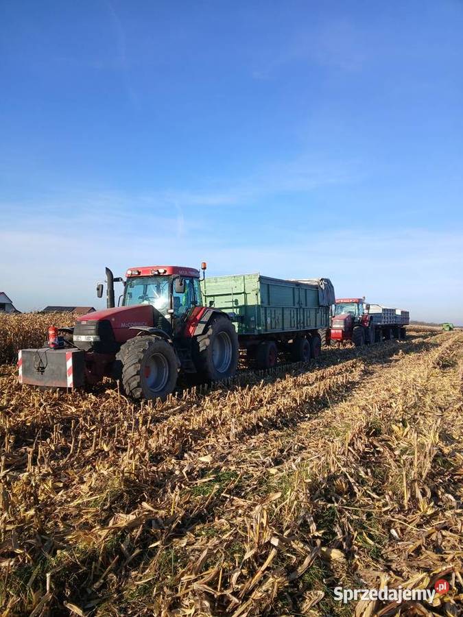 Sprzedam mccormick mtx 140 wielkopolskie Dęby Szlacheckie
