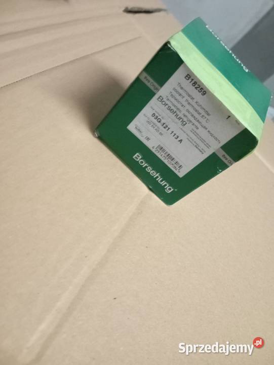 Termostat Borsehung Lipno sprzedam