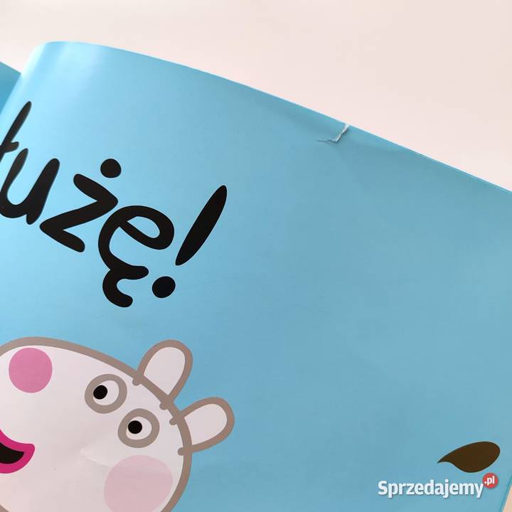 Dwie książki Świnka Pepa Katowice sprzedam