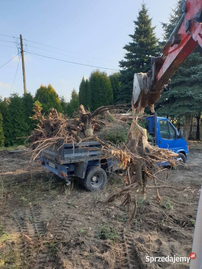 Rozbiórki Wywóz Gruzu wycinka drzewkoszenie Wywóz gruzu i śmieci Pionki