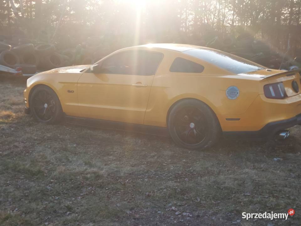 Ford Mustang GT Premium manual wspomaganie kierownicy sprzedam