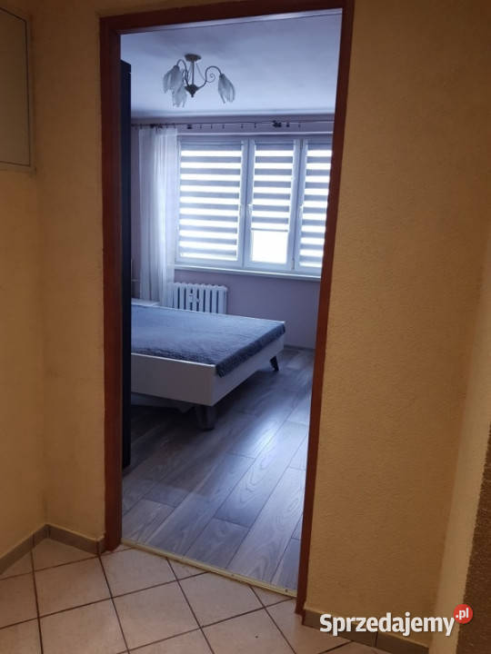 sprzedam mieszkanie Poręba kZawiercia parter internet śląskie