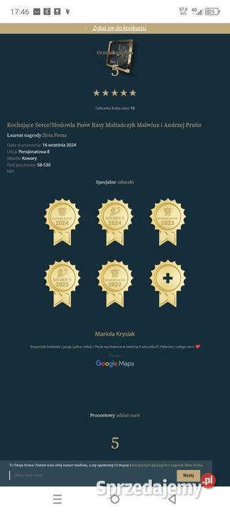 Maltańczyk szczeniaczki z rodowodem gotowe do Maltańczyk Kowary