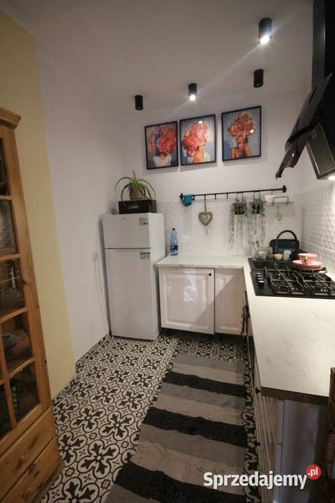 2pok 45met Jemiołowej PIWNICA Wrocław 12889zł/m2