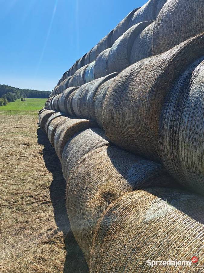 Siano zwierząt koni gryzoni baloty siana jakości sprzedam
