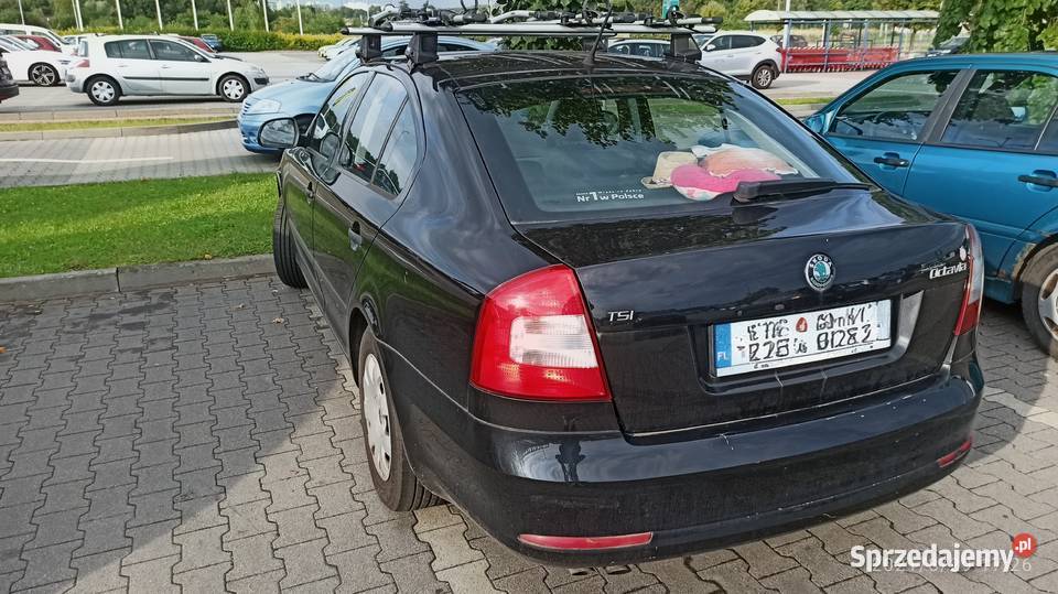 Skoda Octavia Gliwice