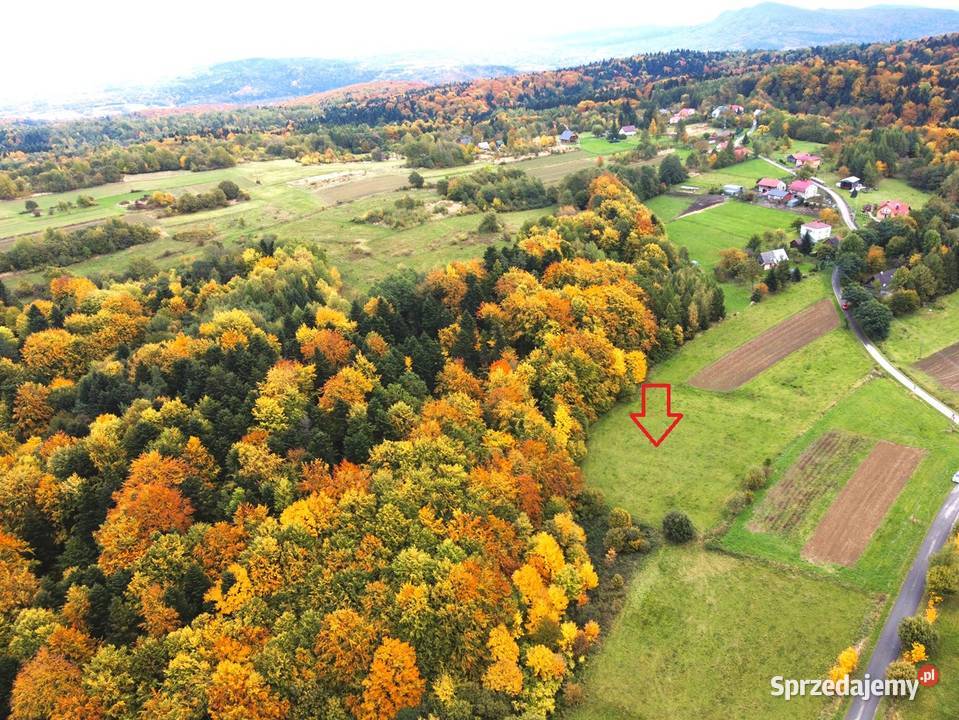 Sprzedam działkę Łęki Dukielskie Sprzedaż