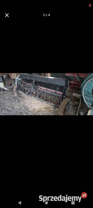 Siewnik poznaniak Kłodzko