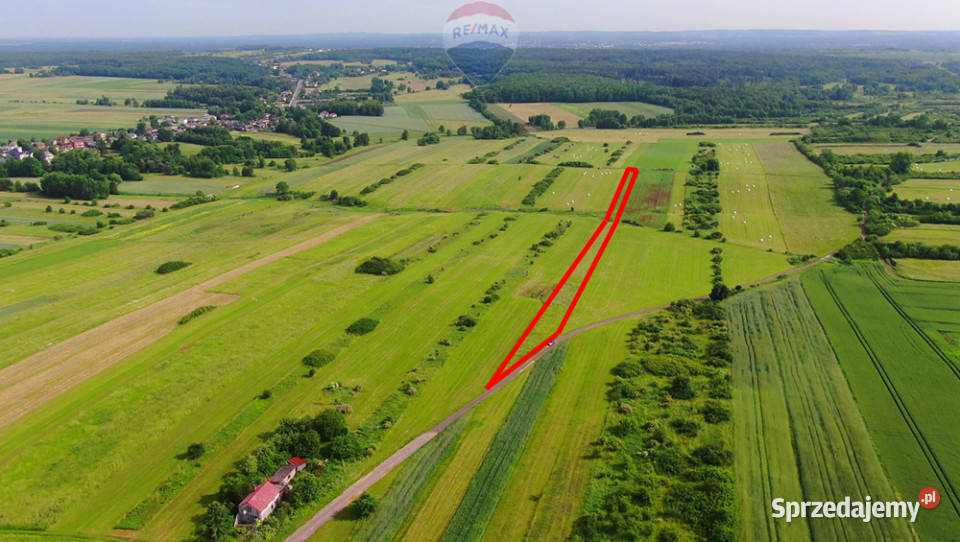 Działka rolna PorębaNiwki Poręba