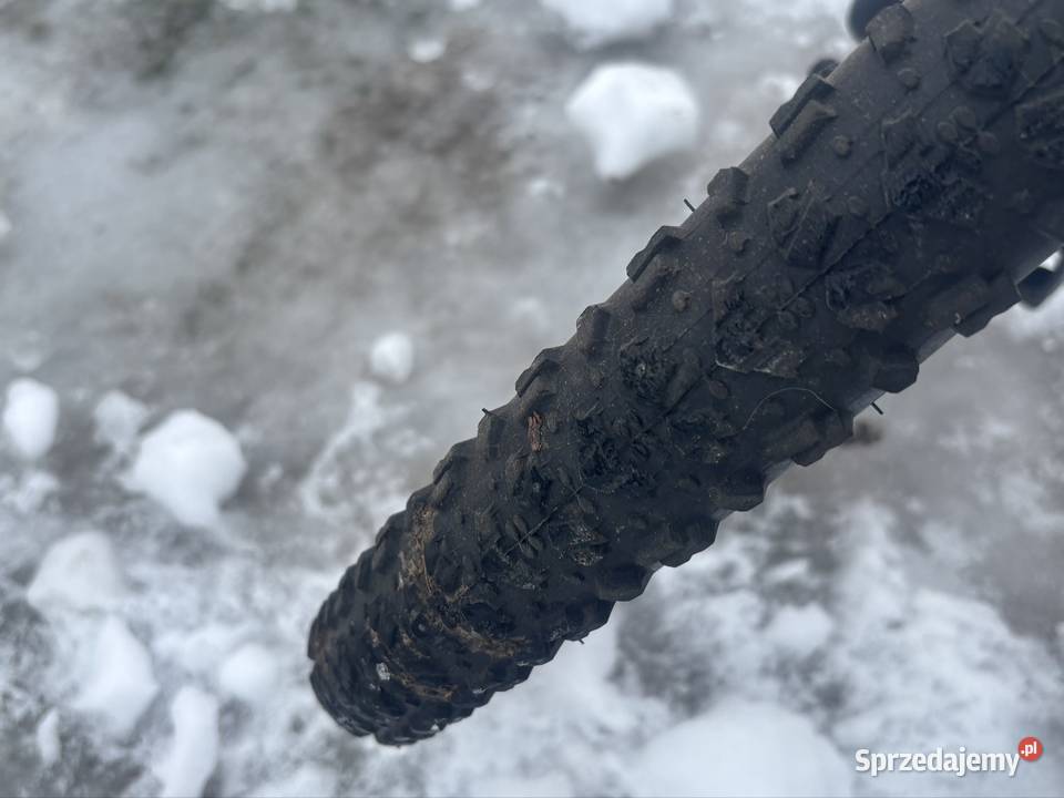 Rower górski Indiana