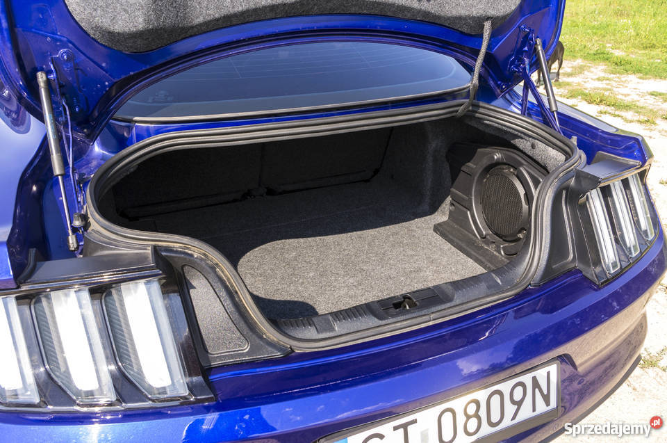 Ford Mustang 2016 50 Zadbany 421KM Mustang Józefkowo