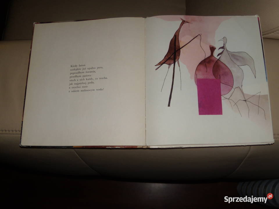 Dom w którym śmieszy Jerzy Ficowski Rok wydania 1969 Książki dla dzieci Warszawa