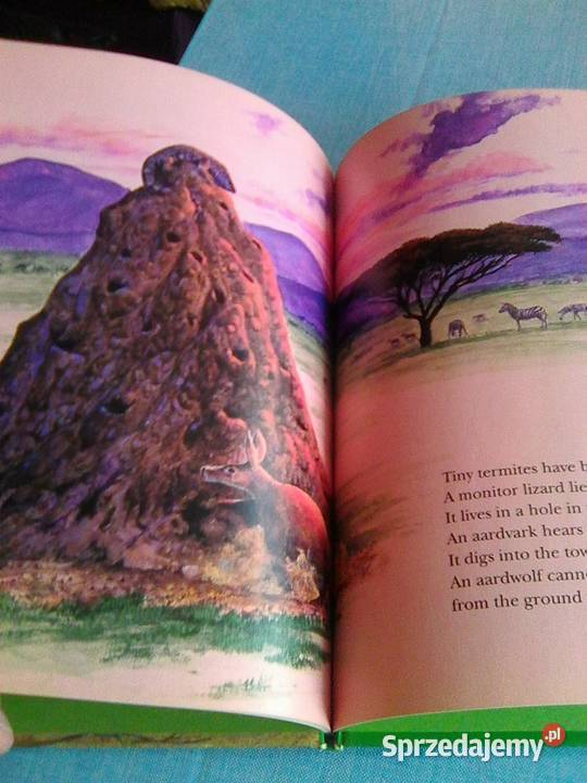 National Geographic Society Rok wydania 1991 Warszawa